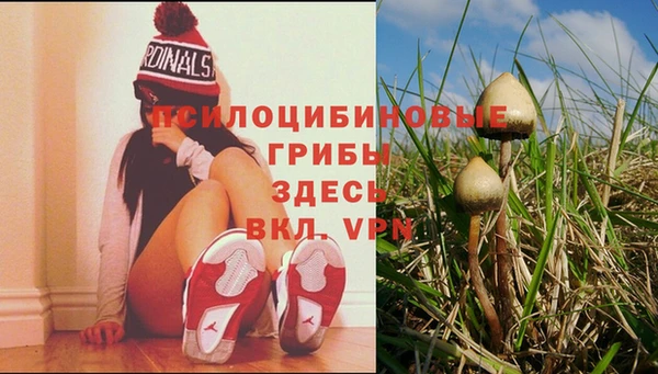 спиды Волоколамск