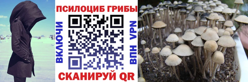 купить наркотики цена Выкса Псилоцибиновые грибы мухоморы