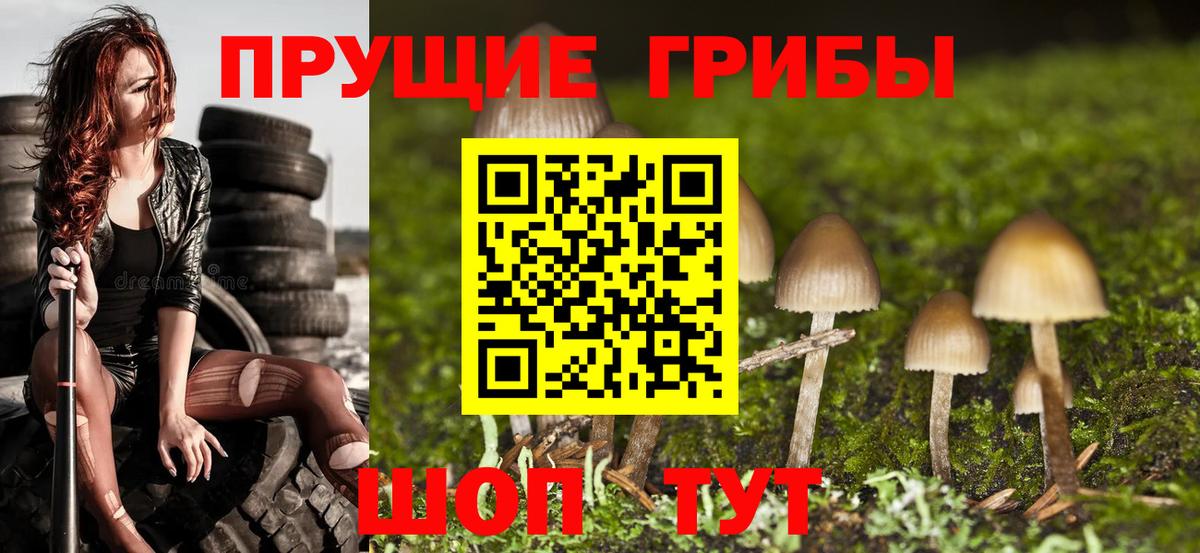 Псилоцибиновые грибы Psilocybine cubensis  Вход с VPN  Выкса 