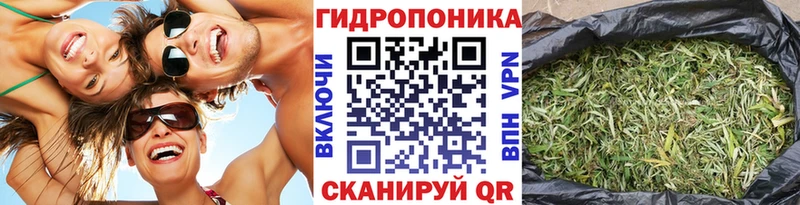 Каннабис план  Выкса 